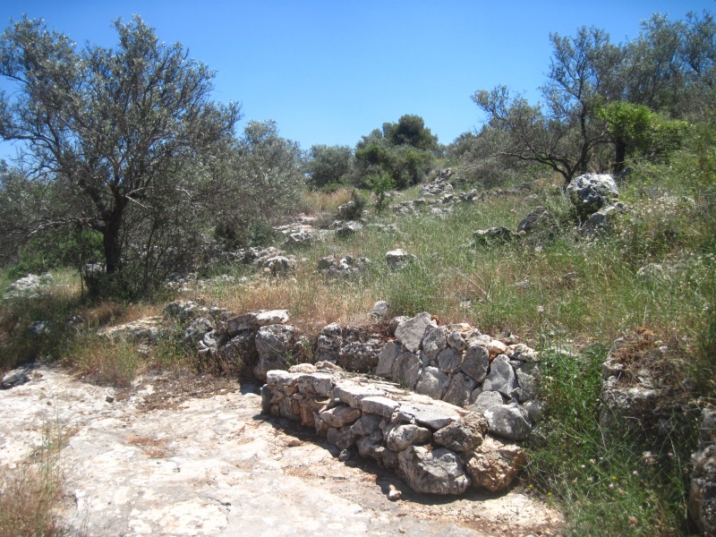 קובץ:ספסלאלקנה.JPG