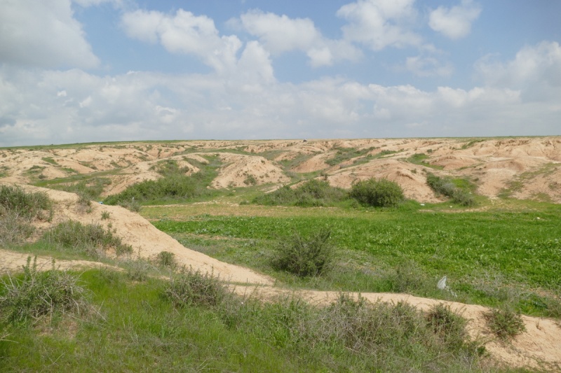 קובץ:סקר אקולוגי קרית המודיעין בלקית-117.jpg