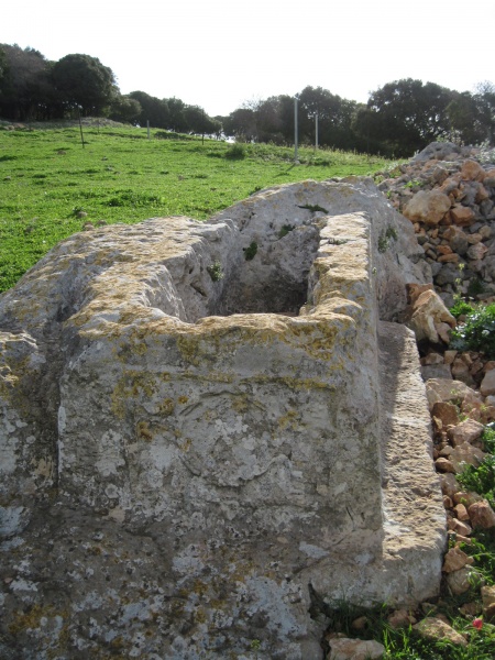 קובץ:סרקופגדבה.JPG