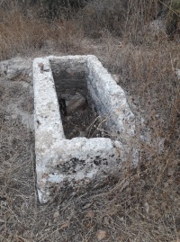 סרקושללה.jpg