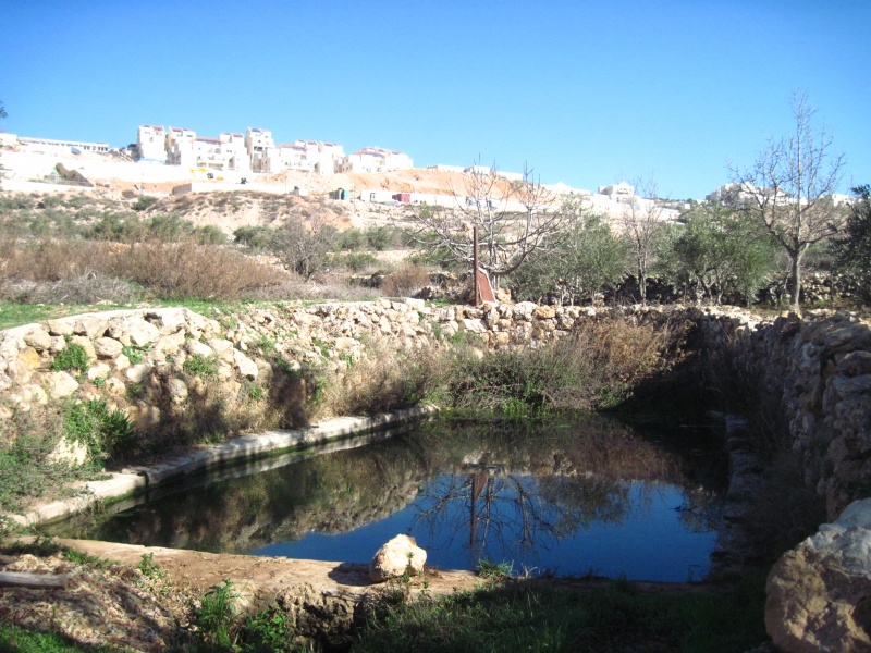 קובץ:עיןטקה.JPG