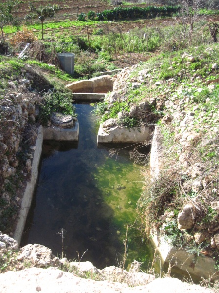 קובץ:עיןצבור.JPG