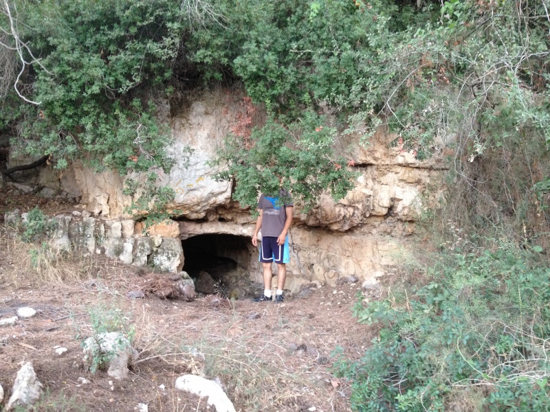 קובץ:עין זבוד.JPG