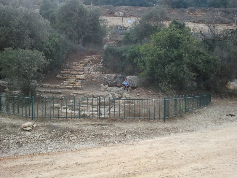 קובץ:עין לוז - עינות יעלים.jpg