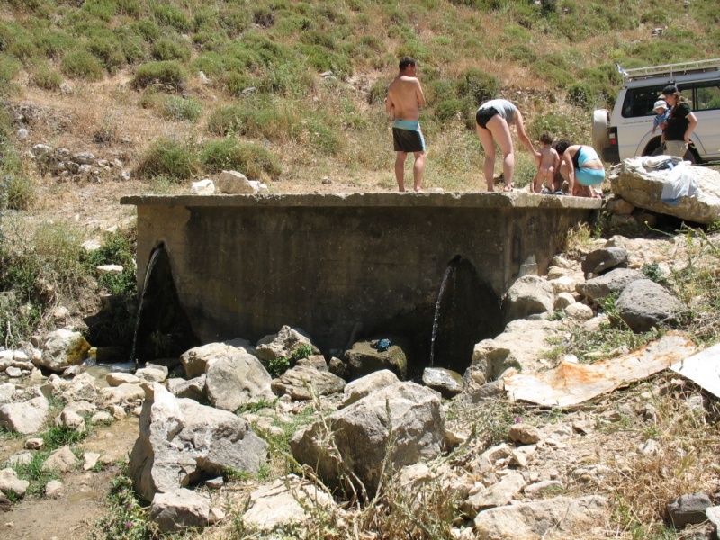 קובץ:עין עלווה - כרם בן זימרה 1089.JPG