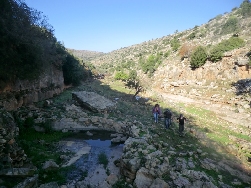 קובץ:עין קתליא.jpg