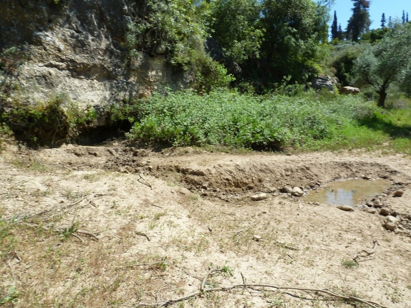 קובץ:עינות קוביש יער נוה צוף (10).JPG
