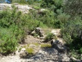 תמונה ממוזערת לגרסה מתאריך 19:49, 3 במאי 2014