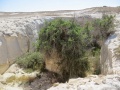 תמונה ממוזערת לגרסה מתאריך 20:09, 25 באפריל 2015