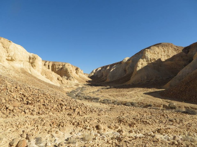 קובץ:ערוץברמותשגיא.jpg