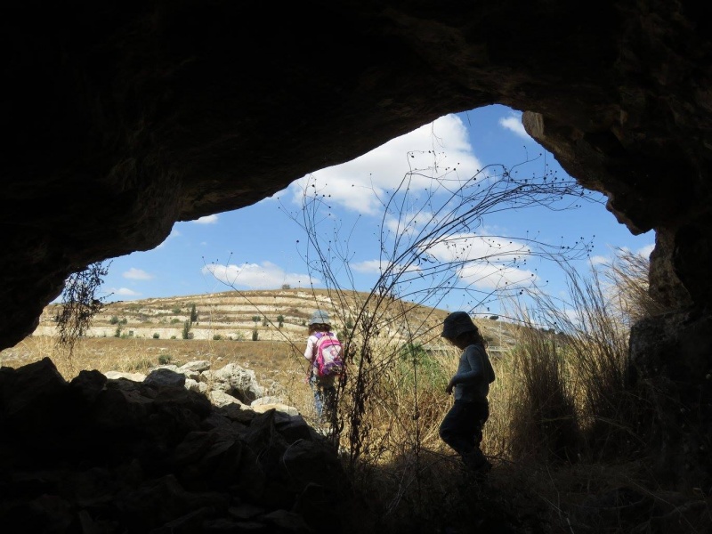 קובץ:עריףמז.jpg