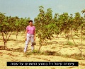 תמונה ממוזערת לגרסה מתאריך 08:58, 24 ביולי 2016