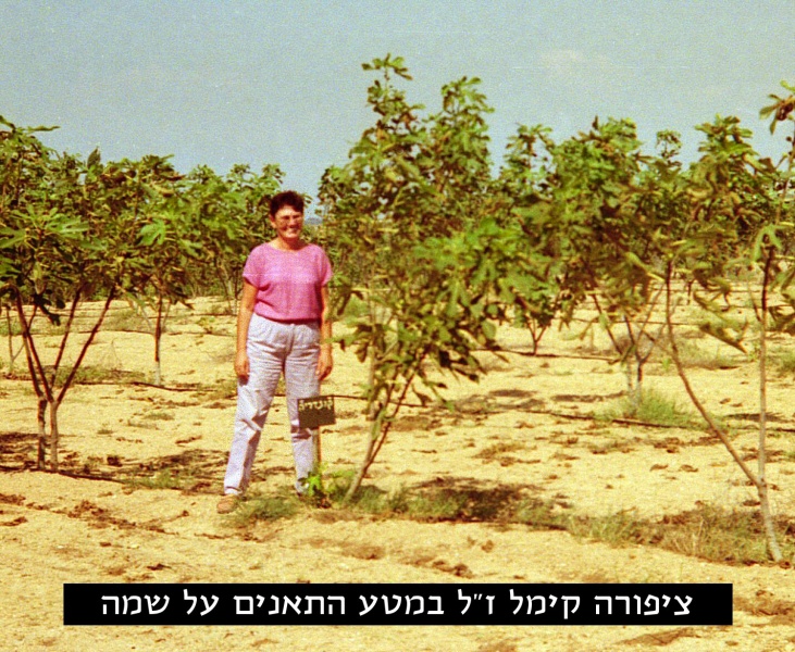 קובץ:ציפורה קימל גבעת התאנים והצבר.jpg