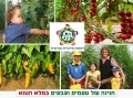 תמונה ממוזערת לגרסה מתאריך 07:01, 29 במרץ 2015