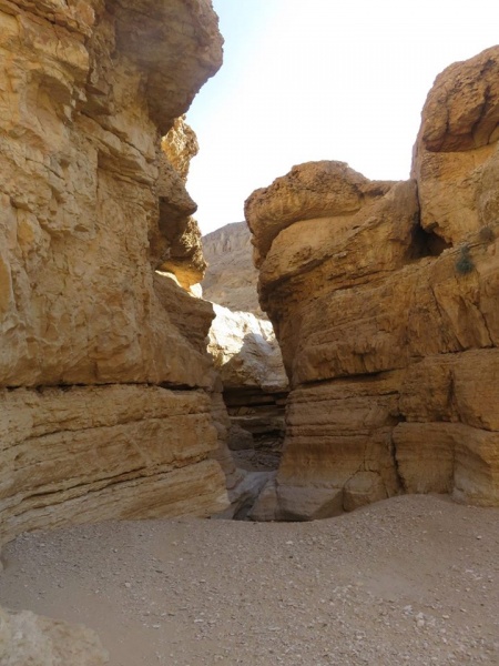 קובץ:קניוןקמאי.jpg