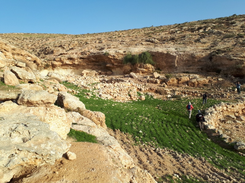 קובץ:קרקס ומפל בואדי היורד ממזרח למצפה יאיר.jpg