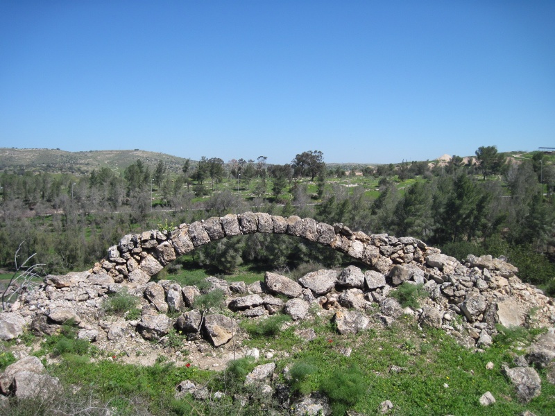 קובץ:קשתאמציה.JPG