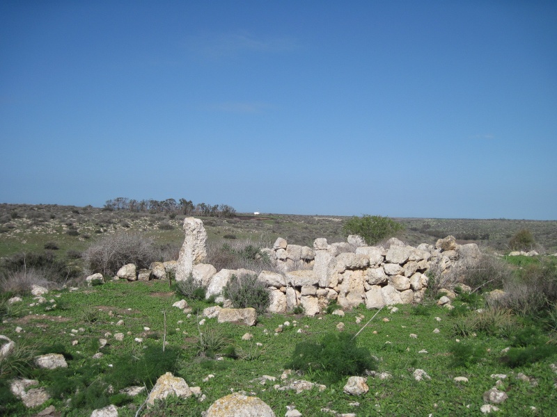 קובץ:רמונה.JPG