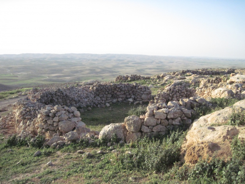 קובץ:רסביראלעיד.JPG