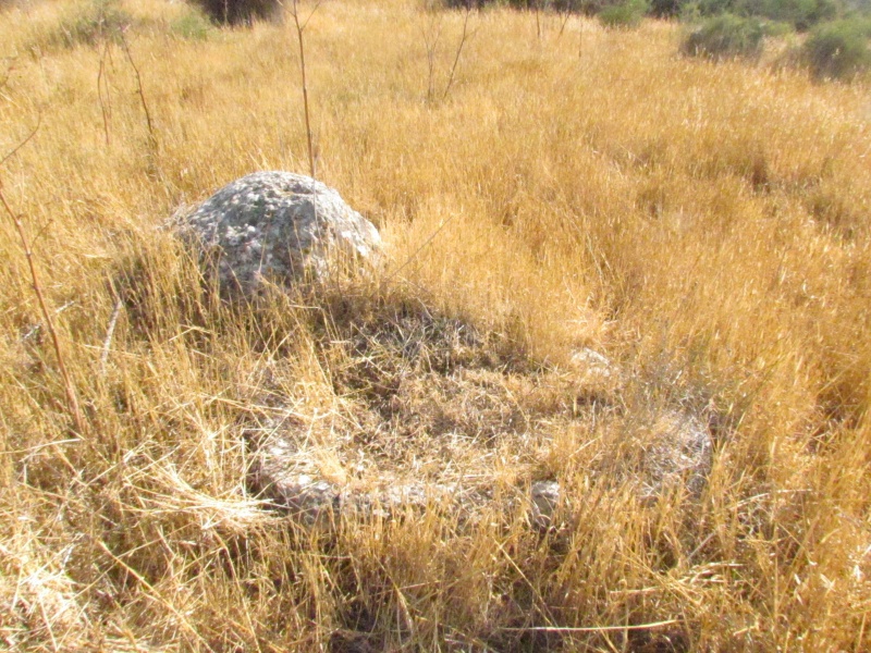 קובץ:שוקת חצובה .JPG