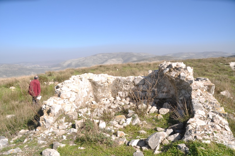 קובץ:שיח קבבית מצפון לחומש (3).JPG