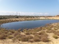 תמונה ממוזערת לגרסה מתאריך 12:58, 4 בדצמבר 2019