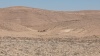 שלוש האלות רס-נ.עקרב שביל סובב-רמון 29.6.23 ש-0.jpg