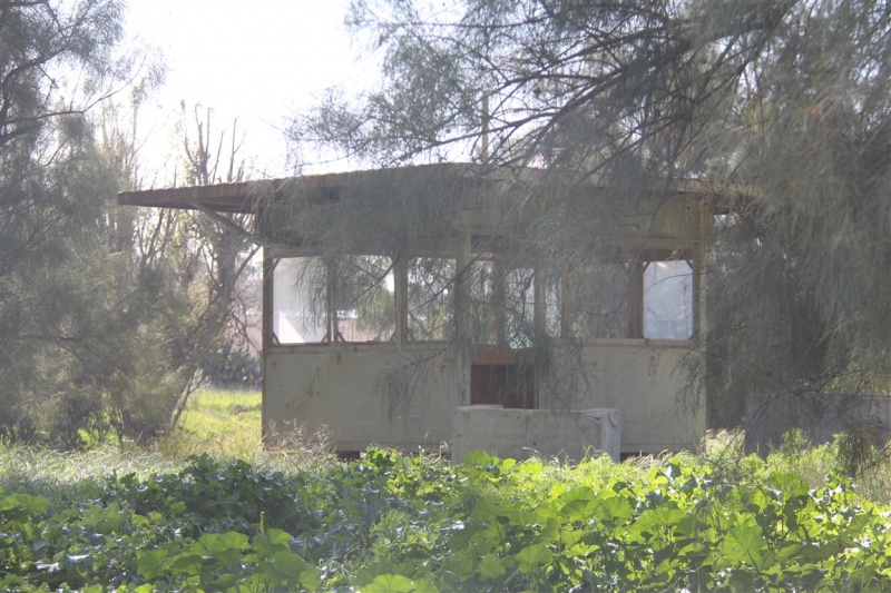 קובץ:שמירה על אריק שרון בחוות השקמים יוסף נעים.JPG