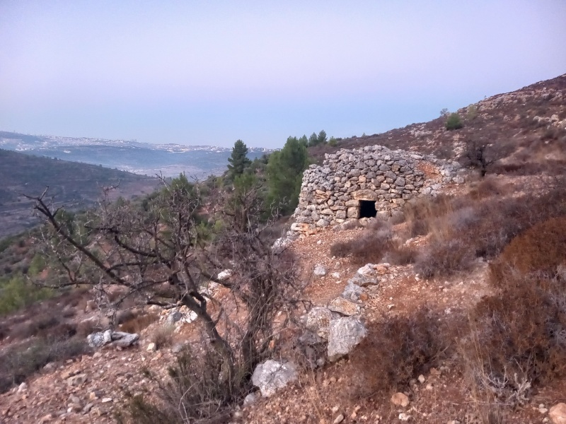 קובץ:שמרהספלול.jpg