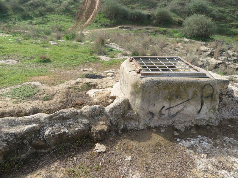 קובץ:שמריהבורות.jpg