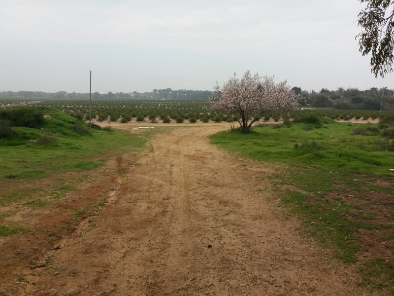 קובץ:שער כניסה דרומי.jpg