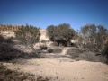 תמונה ממוזערת לגרסה מתאריך 01:10, 1 ביוני 2025