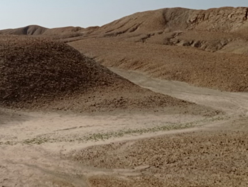 קובץ:שקע הגרגרנית דרך-המוצב 3 23.1.23 הר-סדום-2.jpeg