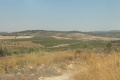 תמונה ממוזערת לגרסה מתאריך 16:28, 30 באוגוסט 2015