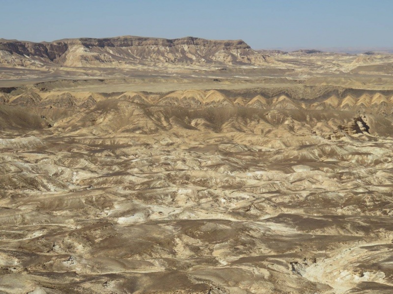 קובץ:תלציחוראוביל.jpg