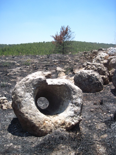 קובץ:תלשובב.JPG