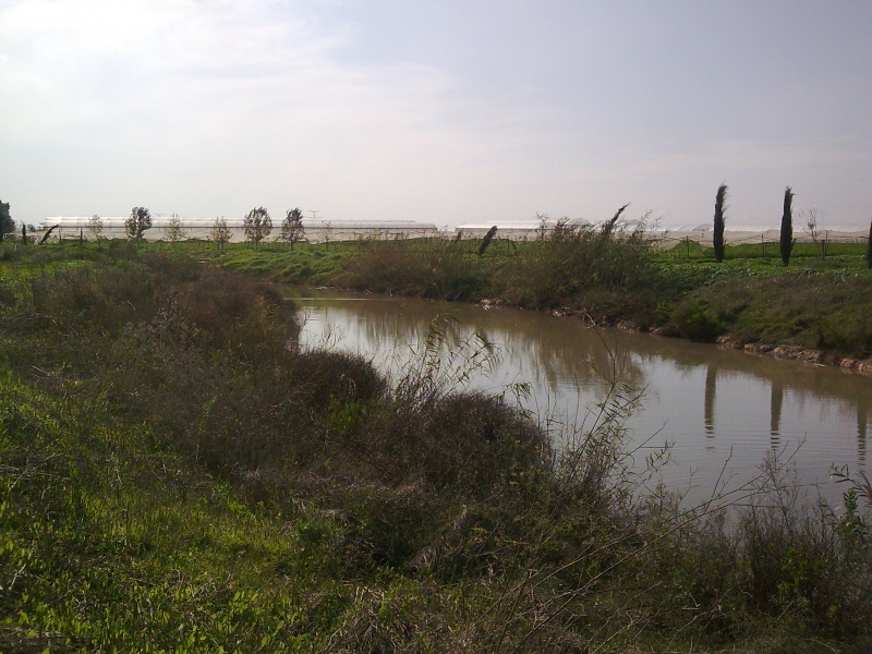 קובץ:תמונה0349.jpg