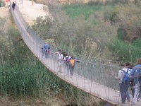 תמונות יוסי לוי 1 007.jpg