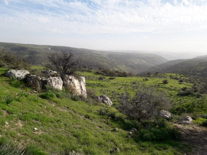 קובץ:תצפית על נחל מיצר.jpg