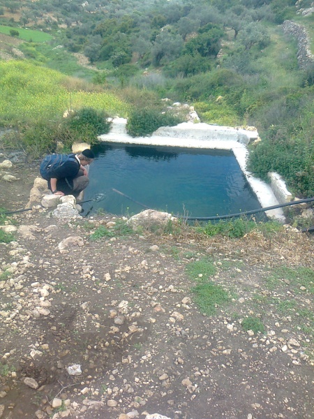 קובץ:׳×׳¦׳׳•׳0611-1-.jpg