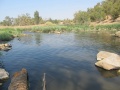 תמונה ממוזערת לגרסה מתאריך 07:57, 1 בספטמבר 2014