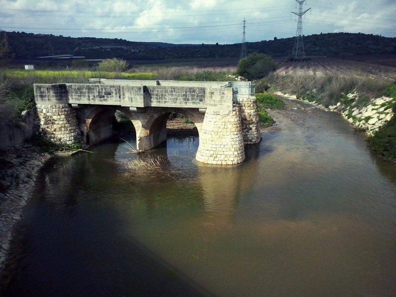 קובץ:10994041 10205449249212556 6820796514371267446 n.jpg