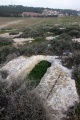 תמונה ממוזערת לגרסה מתאריך 17:15, 20 בינואר 2015