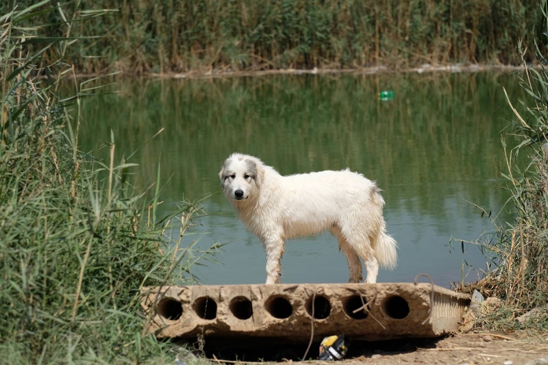 קובץ:1502178 10154496638829497 4794025114286258657 o.jpg