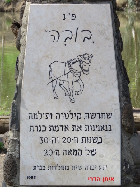 קובץ:1930971-1-.jpg