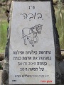 תמונה ממוזערת לגרסה מתאריך 13:14, 15 באוגוסט 2016