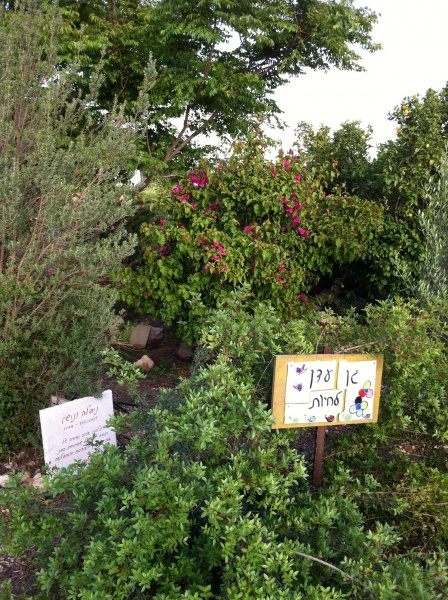 קובץ:2011.04.30-183305.357.iphone.jpg