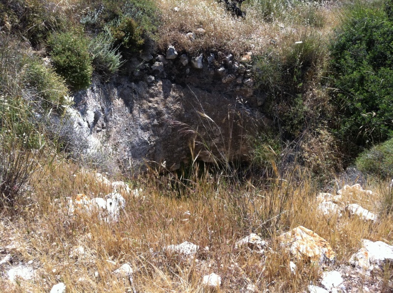 קובץ:2011.05.10-142906.544.iphone.jpg