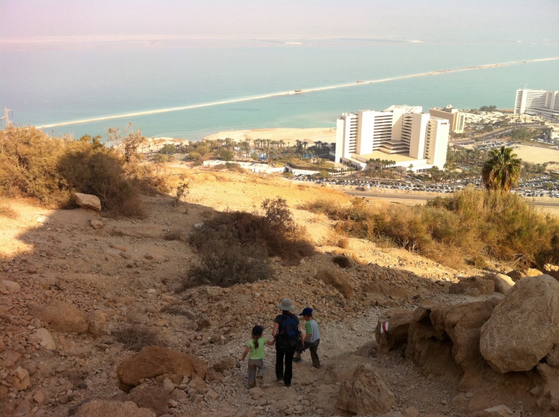 קובץ:2011.12.23-135712.533.iphone.jpg