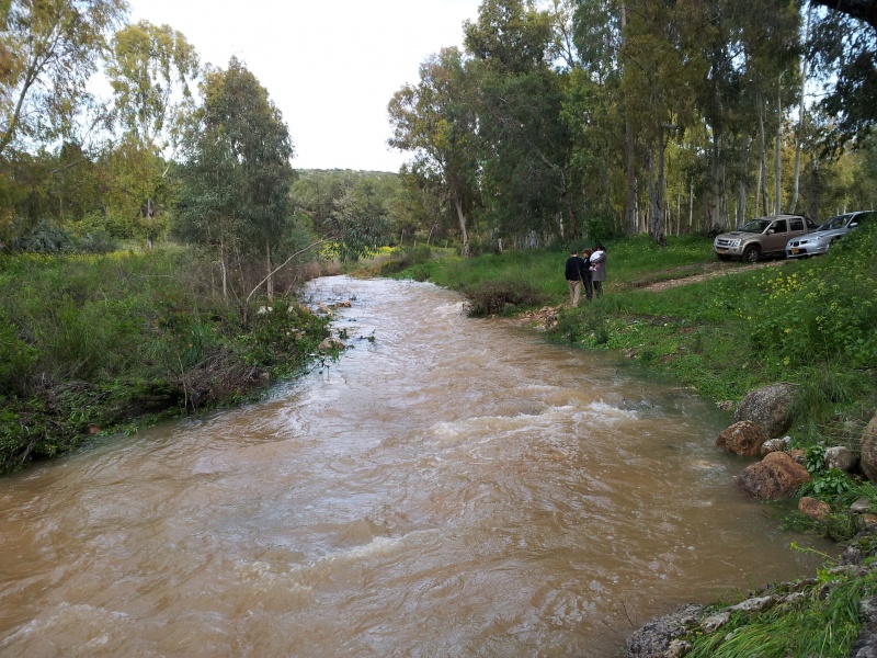 קובץ:2012-03-02 16.28.35.jpg